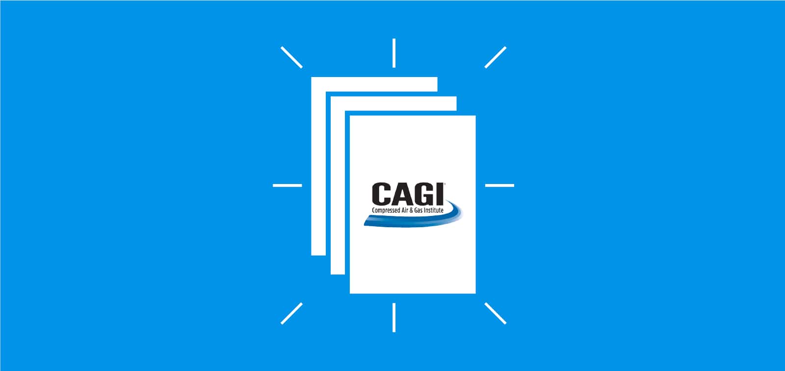 CAGI - Programa de verificación del rendimiento - MR PERÚ
